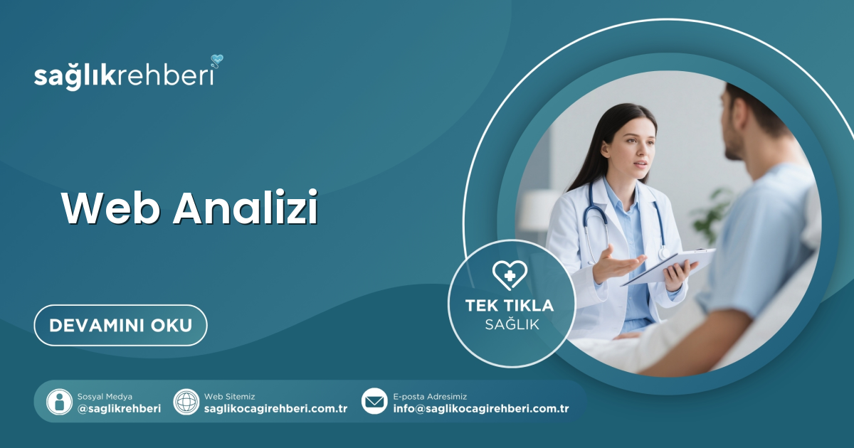 Web Analizi